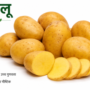 Potato